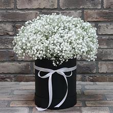 Цветочная композиция из Гипсофила в шляпной коробке в Марьянской